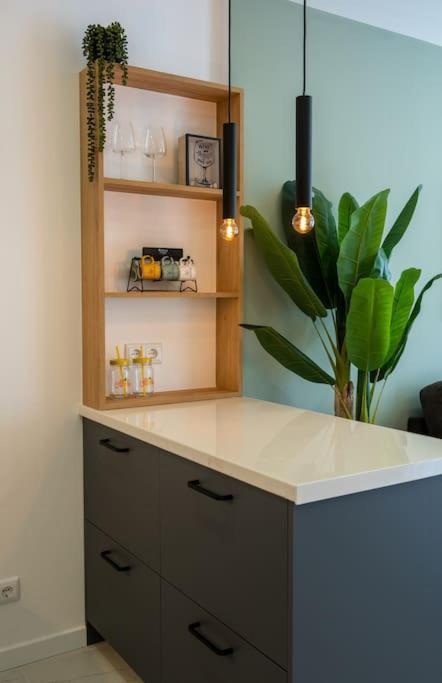 Apartment 1 Bedroom Flat Completely Renovated.
